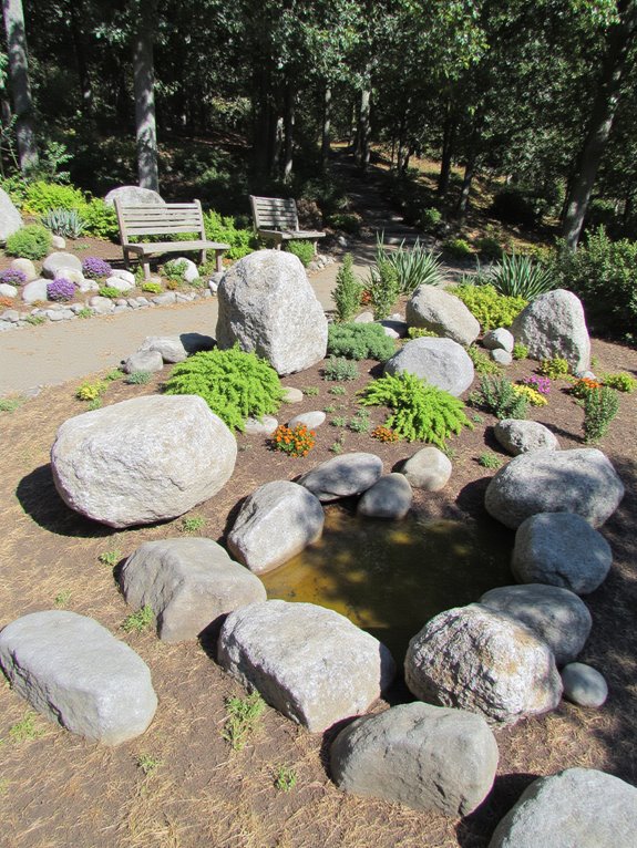 rock garden with plants