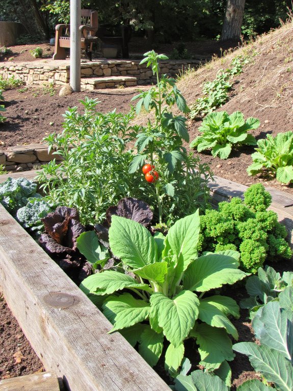 edible plants enhance gardens