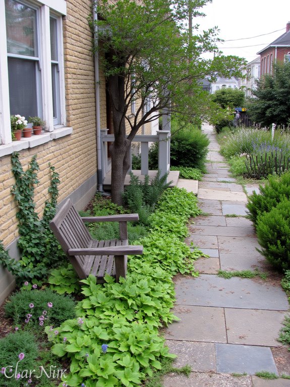 native plants enhance walkways