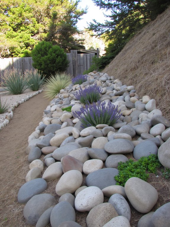 sustainable low water rock garden